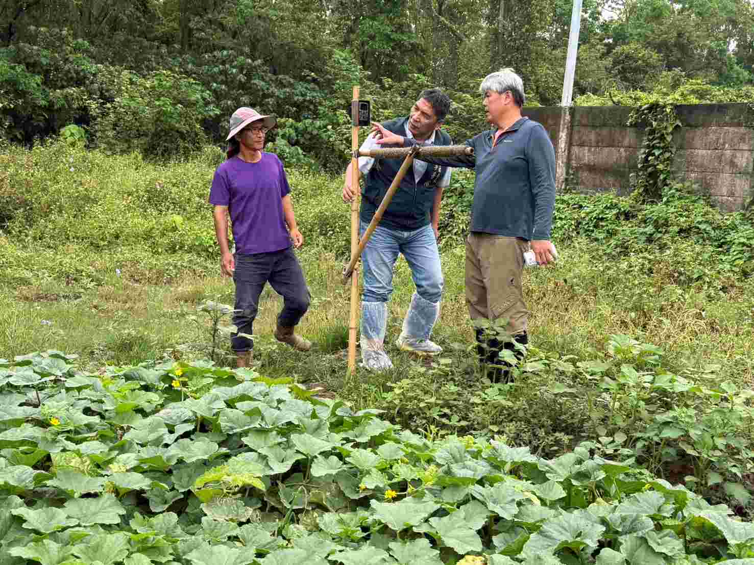 臺南擴大推動草鴞生態給付 延續黑面琵鷺與水雉保育成果打造棲地共榮
