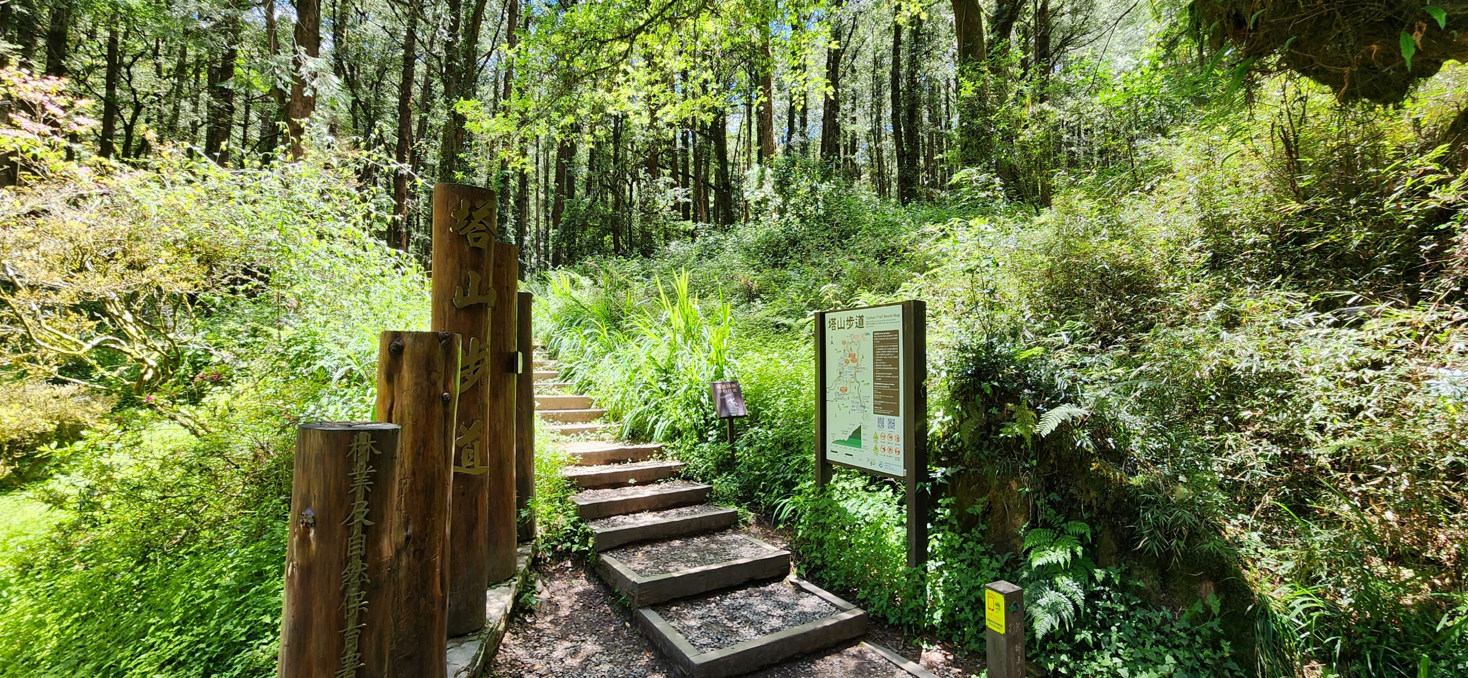 登山客注意！阿里山森林遊樂區塔山步道將自115年7月1日起全線封閉