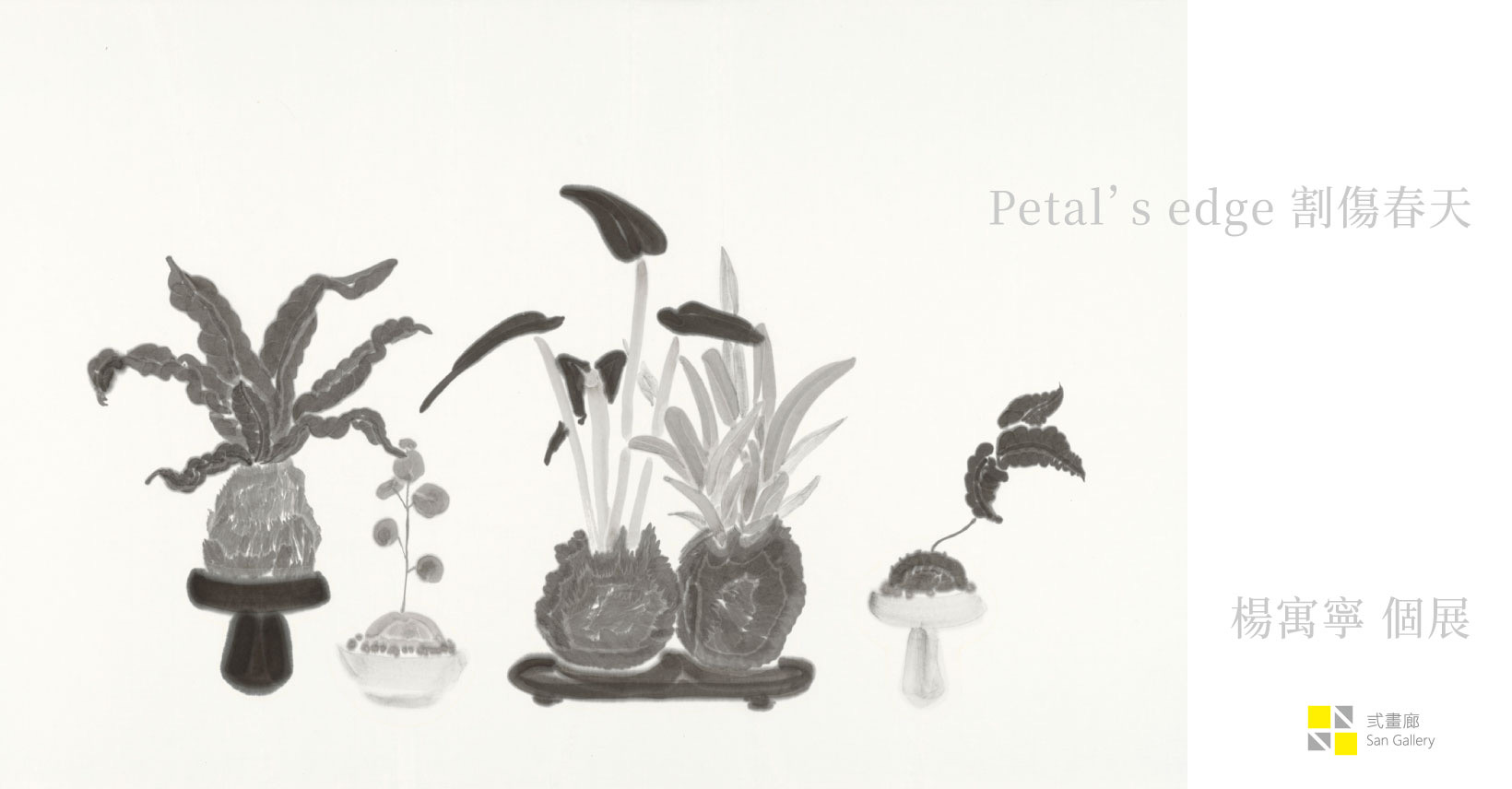 Petal’s edge割傷春天 — 楊寓寧個展