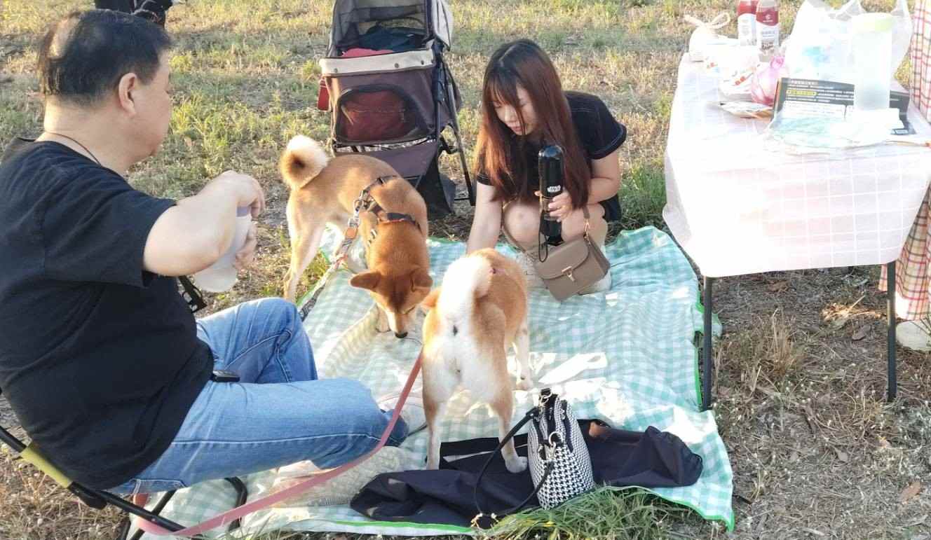 JINS於11月15、16日在臺南市水交社文化園區旁大草地舉辦《野餐我PET你 滾草皮音樂市集》 寵主與寵物相偕遊逛 溫馨和樂瀰漫