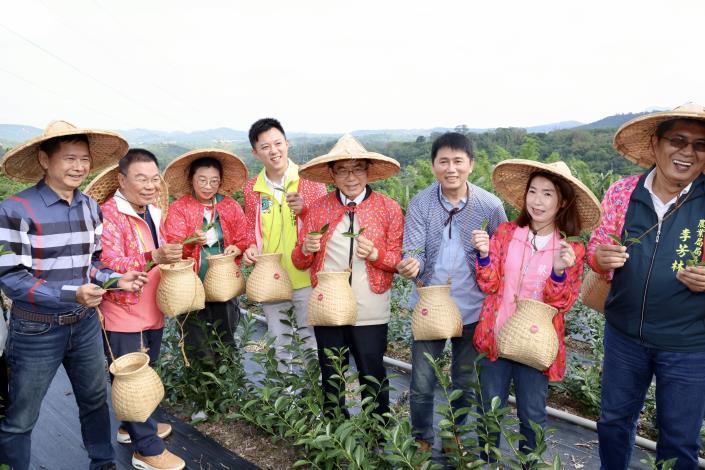 擺脫高山限定印象！台南茶葉正式入局，東山區開啟「府城第一茗」新篇章
