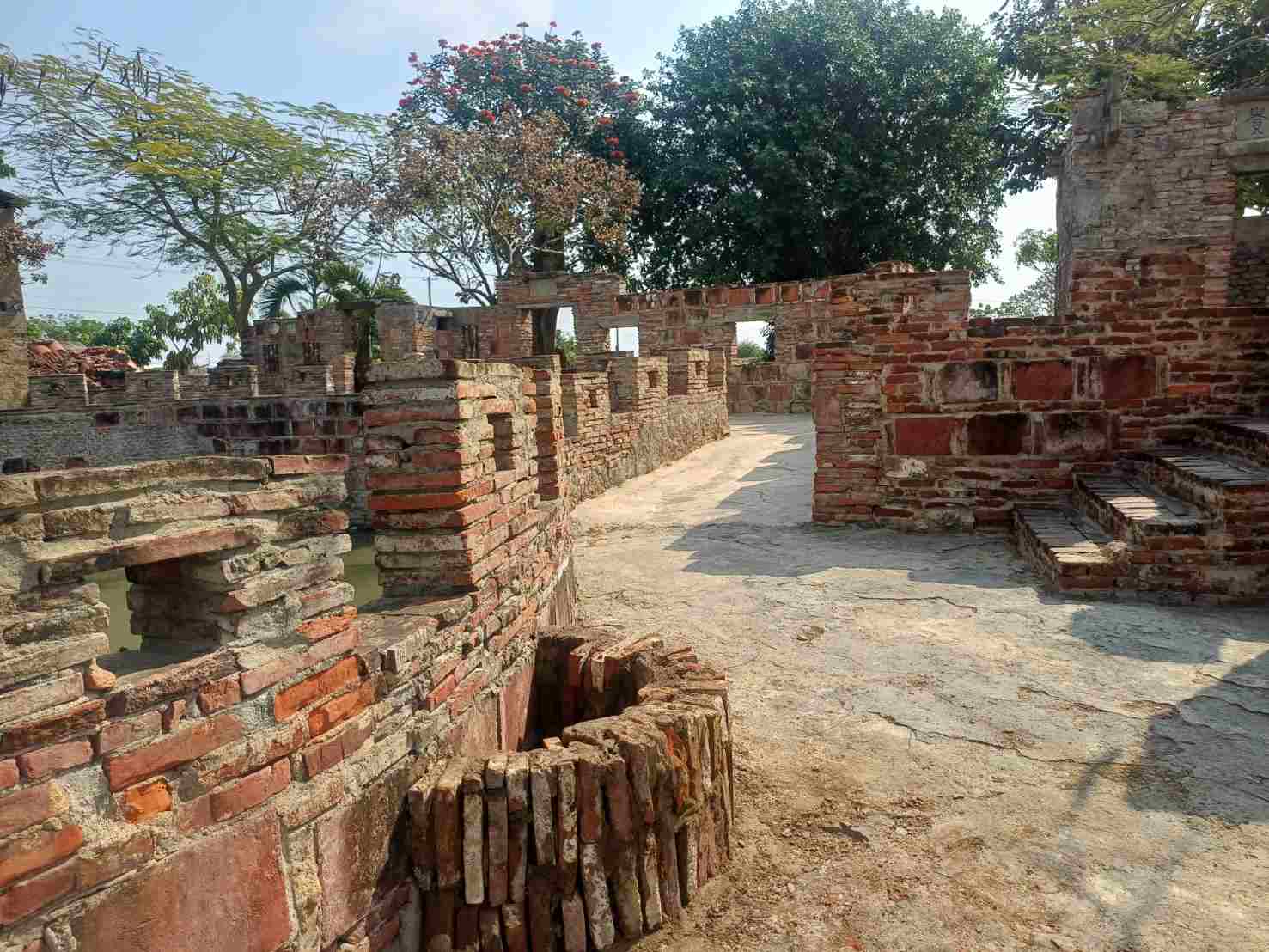 清明節連假何處去？學甲區秘境的「老塘湖藝術村」是旅遊好所在！順賞學甲蜀葵花
