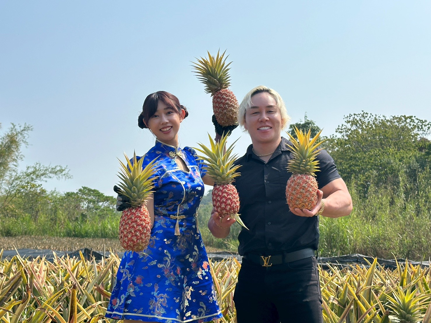 5.KOL於關廟鳳梨田體驗摘鳳梨_0