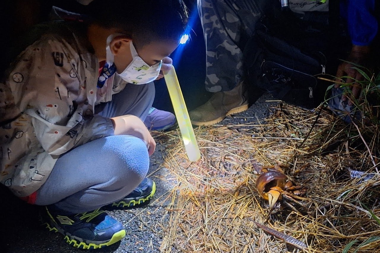 台南晶英今夏引領遊客探索自然野趣,搭龍海號遊七股、夜訪台江陸蟹生態