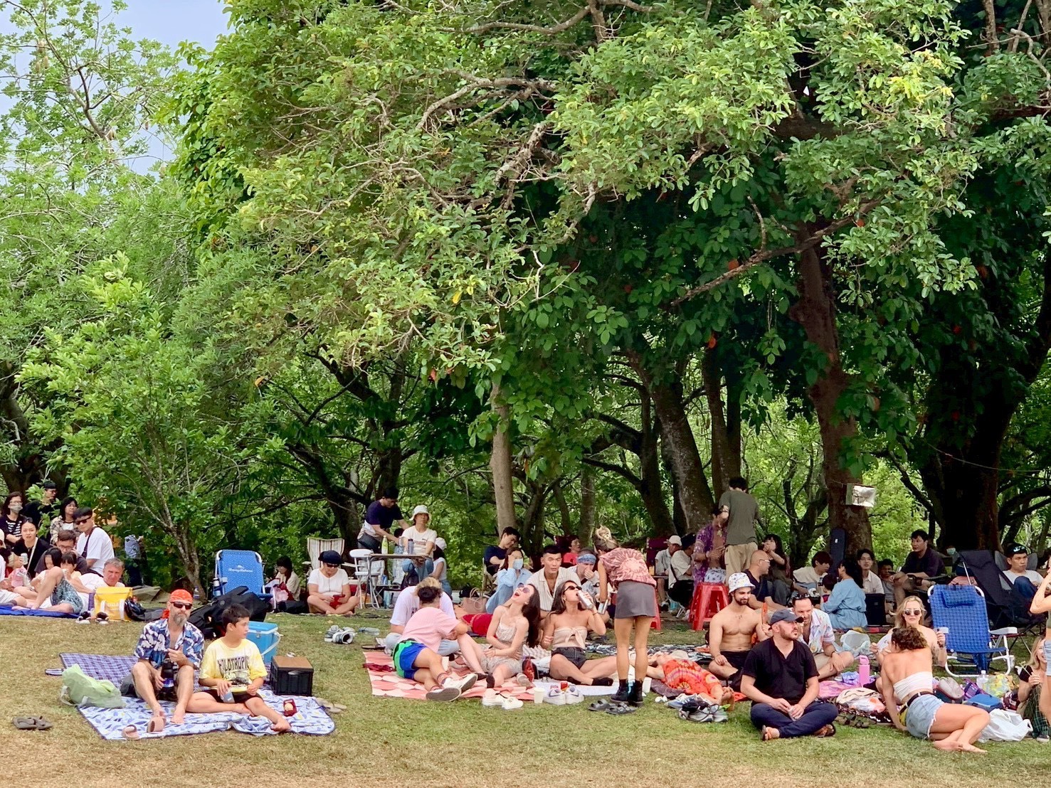 5_台南五月音樂季(歷史照片)2_0