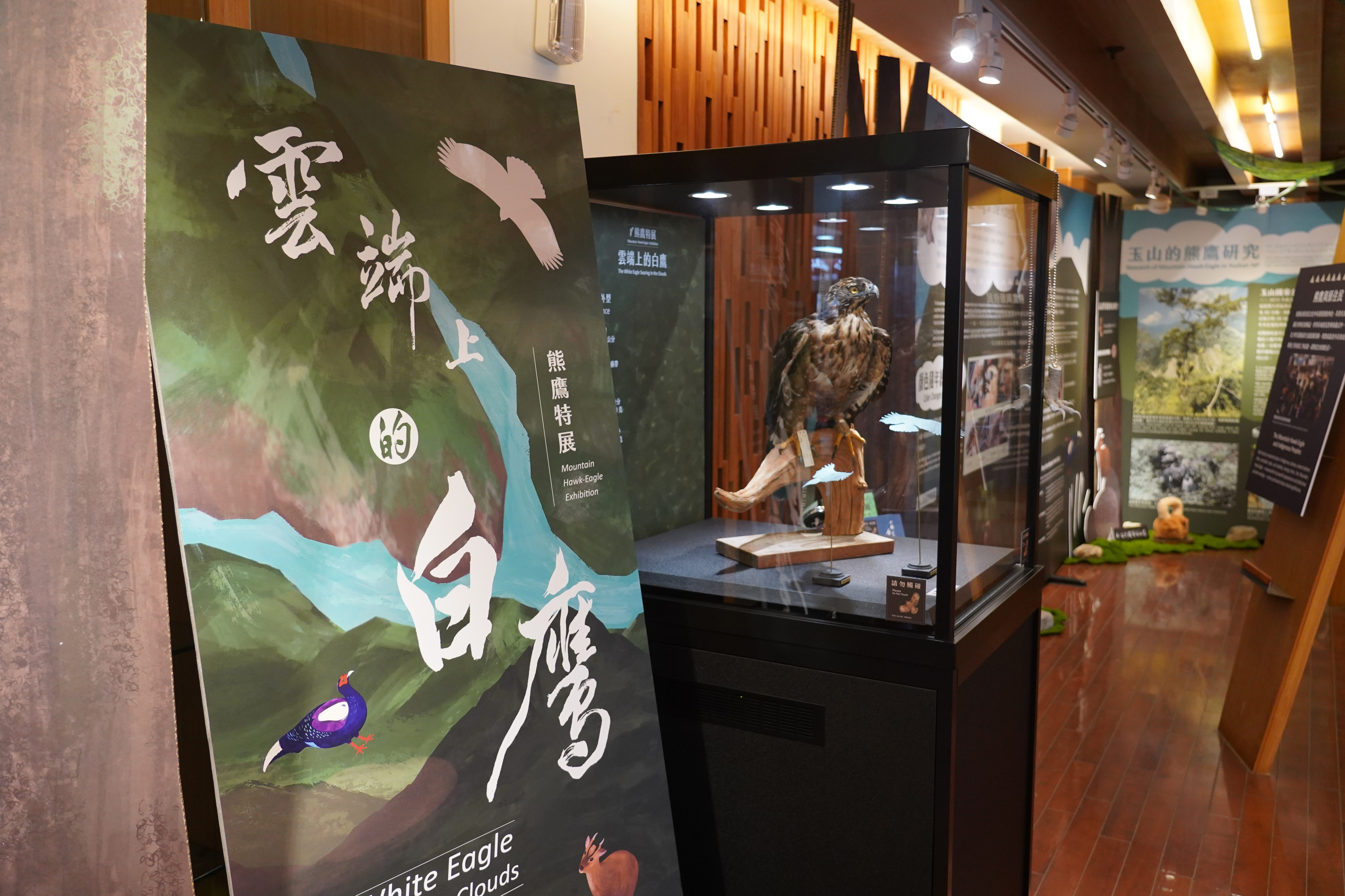 《飛吧！熊鷹》電影首映　玉山國家公園邀民眾共襄盛舉